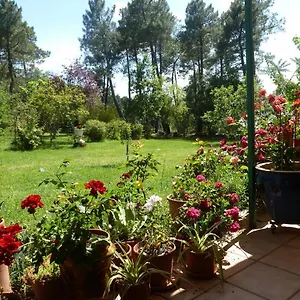 Domaine Du Planas - Patio , Ailhon Frankrijk